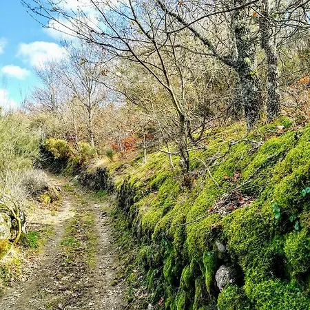 Сasa de vacaciones Casa Celeste Castro Daire