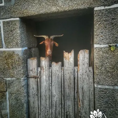 Сasa de vacaciones Casa Celeste