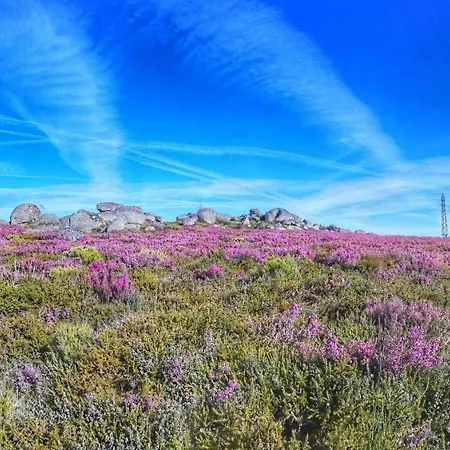 Casa Celeste Ferienhaus Castro Daire