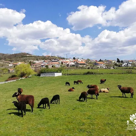 Casa Celeste Castro Daire