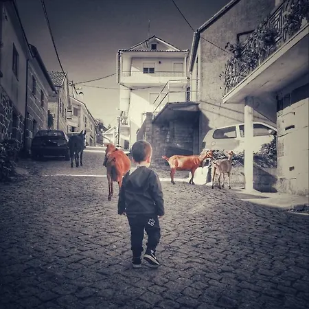 Casa Celeste Сasa de vacaciones *