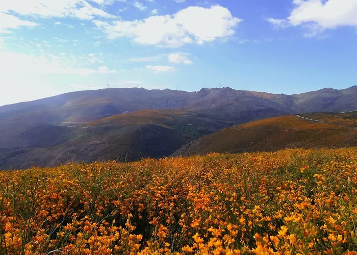 Casa Celeste * 카스트로다이레