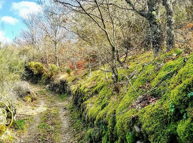 Nyaraló Casa Celeste Castro Daire