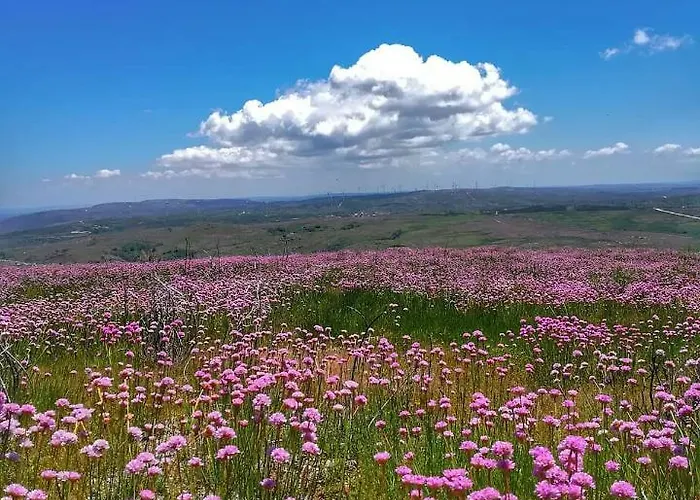 Casa Celeste 카스트로다이레