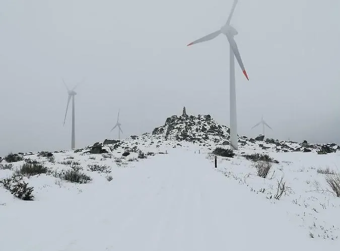 Nyaraló Casa Celeste Castro Daire