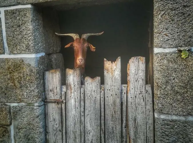 Nyaraló Casa Celeste