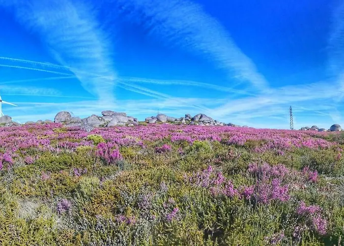 Casa Celeste Nyaraló Castro Daire