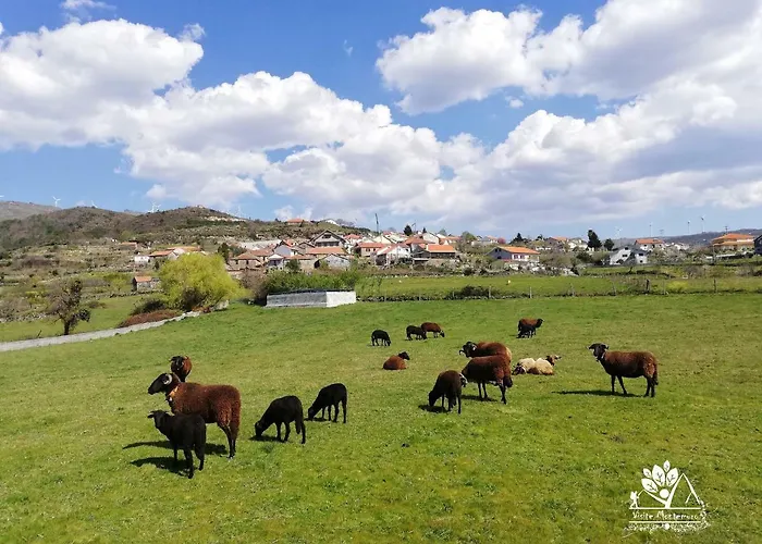 Casa Celeste Castro Daire