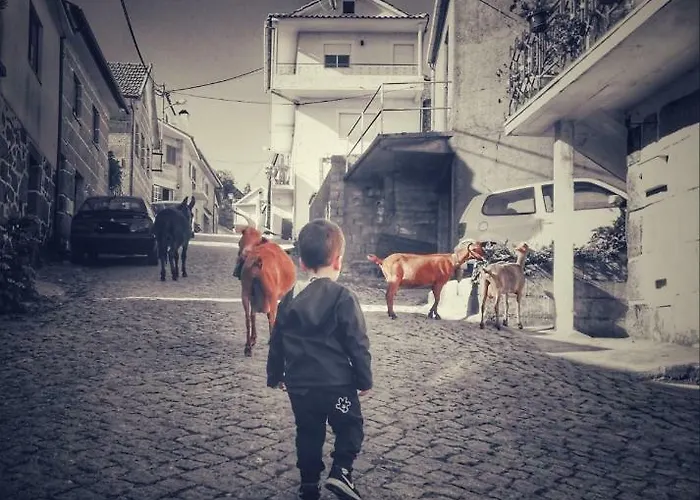 Casa Celeste Nyaraló *